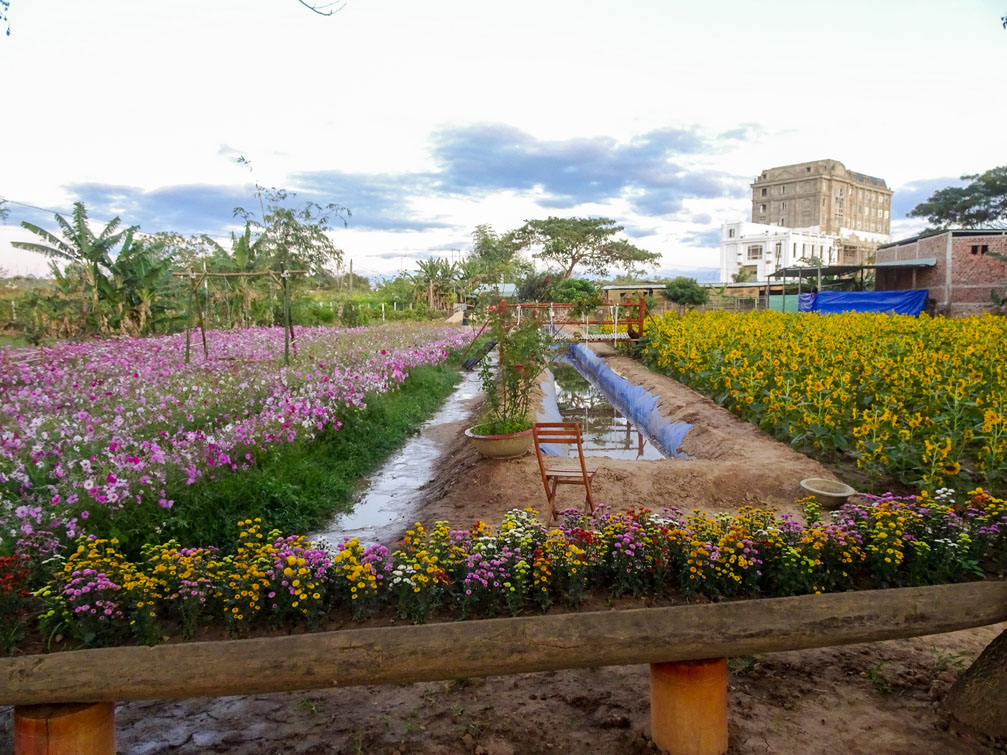 Vườn hoa Quốc Bảo | Thành phố Kon Tum